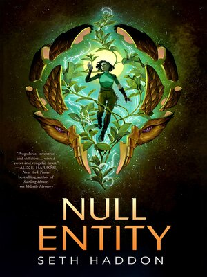 cover image of Null Entity